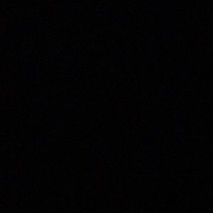 Meet your Posher, Bella